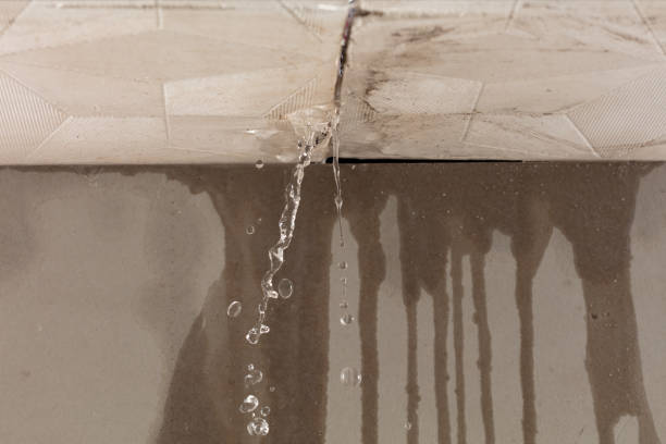 Professional Structural Drying technician working in Irvine, KY